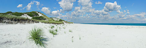 Sea shore view with sand grass and dune reeds. Digital panorama.