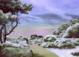 Boardwalk through the Pines. Surreal infrared digital photo.