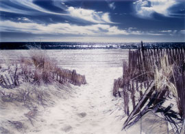 Dune walk to the ocean. Fine art infrared sureal print.