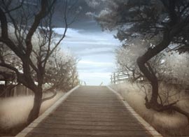 Sunset Over the Fire Island bay art collection